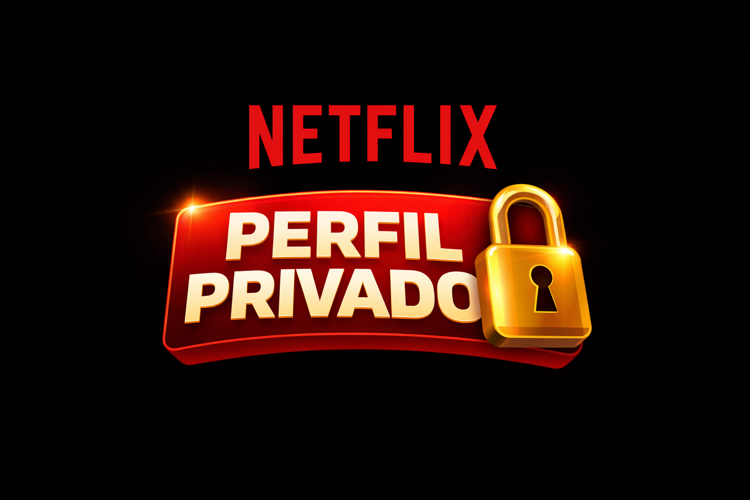 NETFLIX PRIVADO